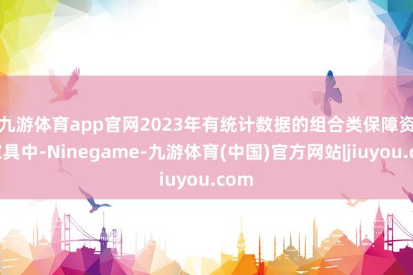 九游体育app官网 2023年有统计数据的组合类保障资管家具中-Ninegame-九游体育(中国)官方网站|jiuyou.com