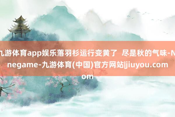 九游体育app娱乐落羽杉运行变黄了  尽是秋的气味-Ninegame-九游体育(中国)官方网站|jiuyou.com